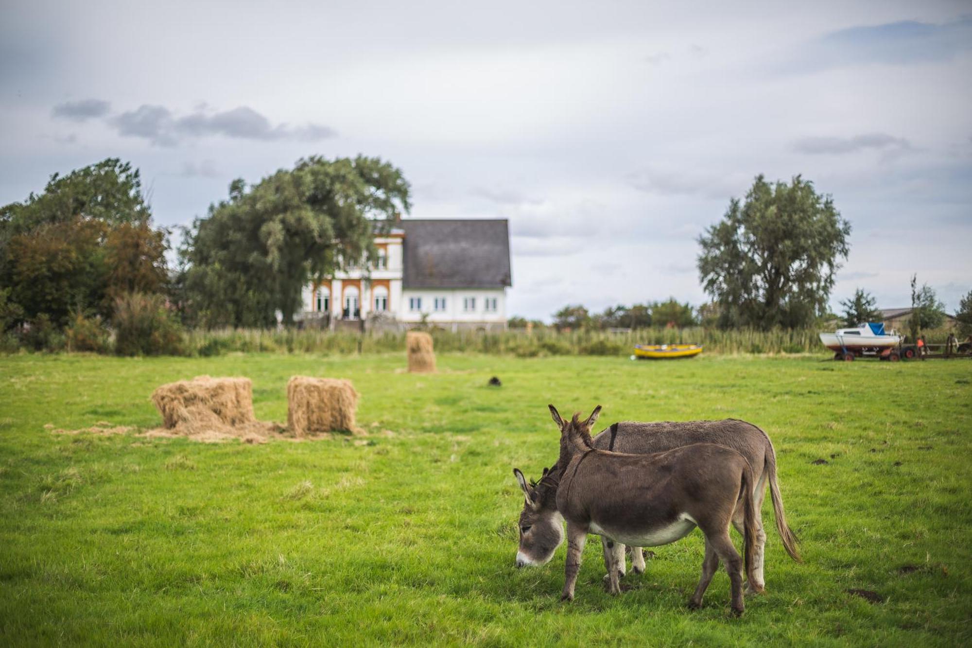 Hohenwarte Konuk evi Højer Dış mekan fotoğraf