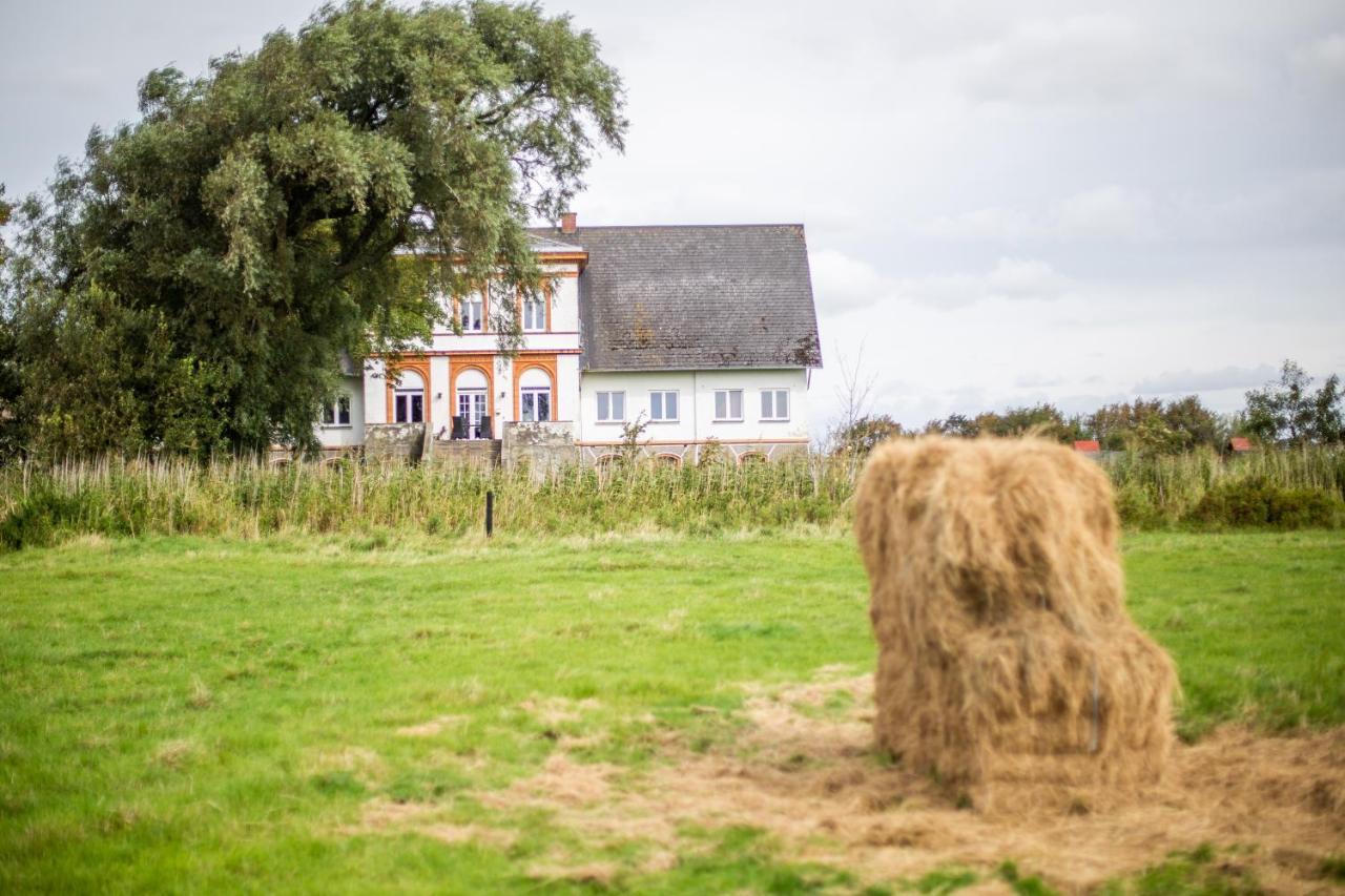 Hohenwarte Konuk evi Højer Dış mekan fotoğraf
